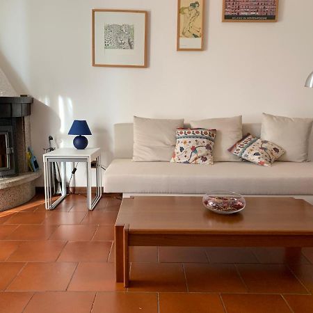 Appartamento Con Vista Sulle Grigna Barzio Εξωτερικό φωτογραφία